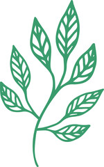 Fototapeta premium plant leaves 9
