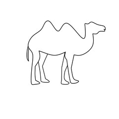 Camel Lineart