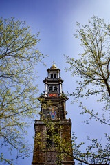 Looking Up at the Iconic Steeple of Westerkerk Church Framed by Trees Putting Forth Spring Growth in Amsterdam, Netherlands
