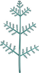 Floral Flower Illustration Element