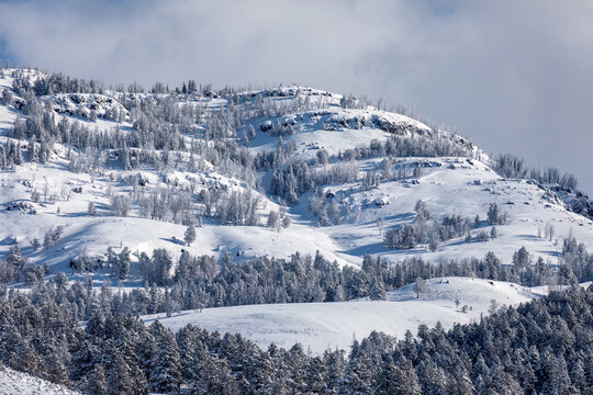 Winter Mountain Ridge at Yellowstone National Park