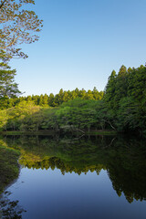 Lakeside surrounded by a secluded and beautiful forest