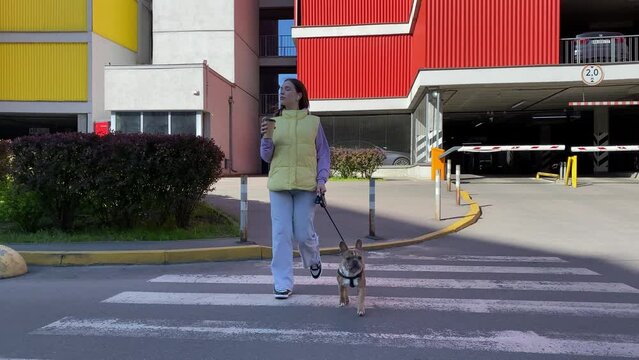 Confident young woman entering crosswalk while dog walking, crossing urban street, looking at camera outdoors. City lifestyle, urban pet concept. Colorful buildings, town infrastructure on background