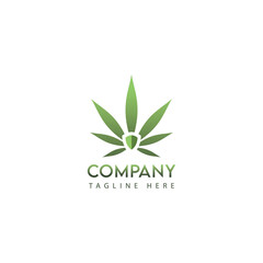 Shield and Cannabis or maijuana leaf logo vector. Suitable for treatment, medicine product etc