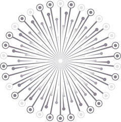 Obraz premium Abstract firework isolated on transparent background.