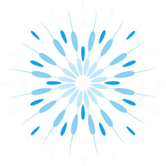 Obraz premium Abstract firework isolated on transparent background.