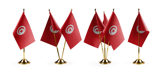 Small national flags of the Tunisia on a white background