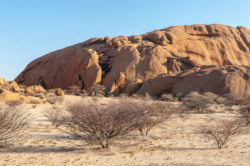 Fototapeta na wymiar Desert landscape in central Namibia, near the Spitzkoppe mountain.