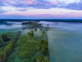 Majestic Morning: Aerial View of Enchanting Misty Landscape in Northern Europe