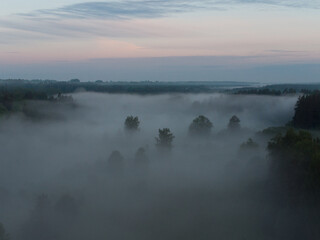 Obraz na płótnie Canvas Enchanting Sunrise Mist Over Majestic Forest in Northern Europe