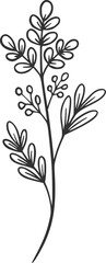 botanical vector, outline, illustration, nature, flower, summer