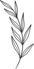 botanical vector, outline, illustration, nature, flower, summer