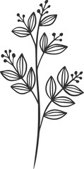 botanical vector, outline, illustration, nature, flower, summer