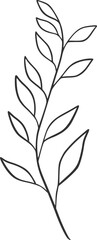 botanical vector, outline, illustration, nature, flower, summer