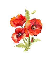Red poppy flowers bouquet,. Watercolor botanical illustration