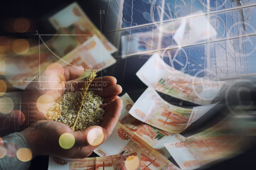 The concept of the cost of grain. 5000 ruble banknotes around a handful of ground grain. World...