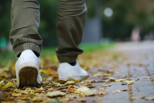Feet sneakers walking on fall leaves Outdoor with Autumn season nature on background Lifestyle Fashion trendy style