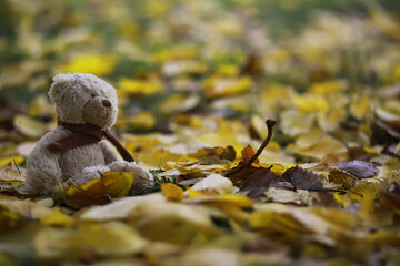 Adorable brown stuffed toy teddy bear with yellow maple leaf on head sits on dry orange leaves pile on ground in autumn park on nice sunny day close view. back to school concept.