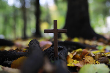 The cross of God in the rays of the sun. Background of religions