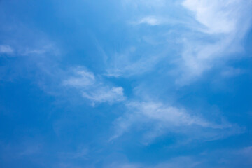 Naklejka na ściany i meble The sky is clear with fluffy white clouds.