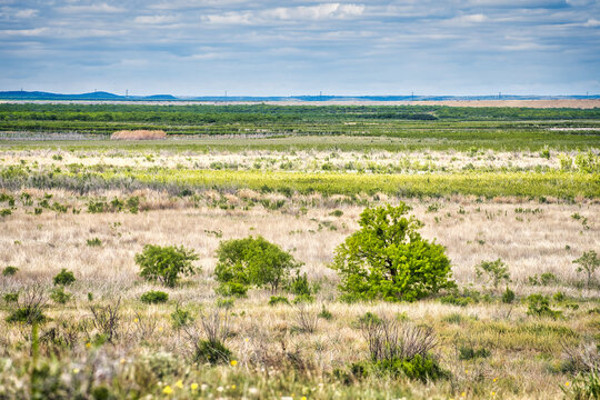 A breathtaking landscape of endless grassy plains dotted with marsh and wetland, extending to the horizon beneath a beautiful sky in San Angelo State Park, Texas.