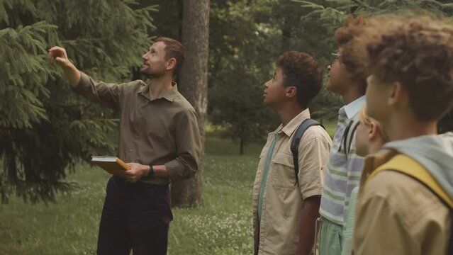 Medium shot of male scout leader giving lecture on coniferous trees to multiethnic group of children while on trip in summer forest
