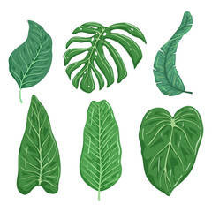 tropical leaves collection with flat style on white background