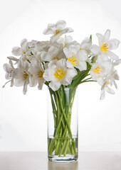 bouquet of fresh white tulips in glass vase on a table in the interior of a modern apartment