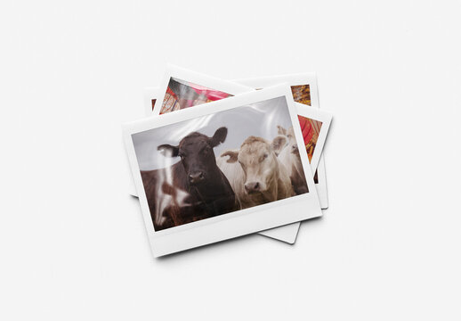 Mockup of customizable instant camera photo prints available against customizable color background
