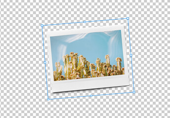 Mockup of customizable instant camera photo print available against customizable color background