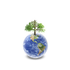 Earth Globe and Tree. Tree growing on earth globe