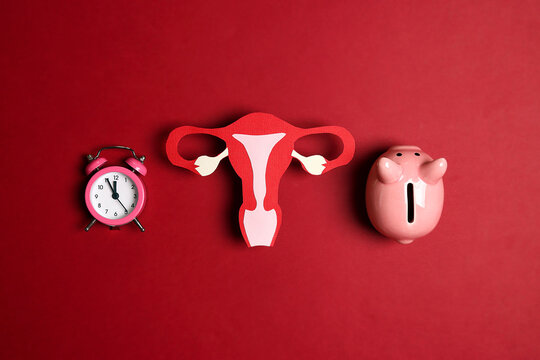 Uterus symbol with alarm clock and piggy bank on redbackground. Investing in women's health care.