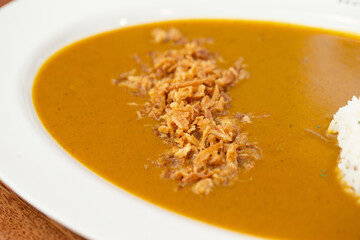 Japanese style curry on a plate