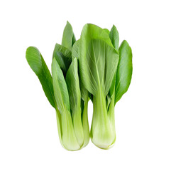 Bok choy vegetable on    transparent png