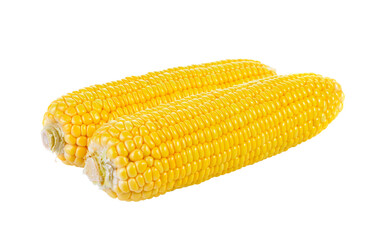 Sweet corn isolated on  transparent png