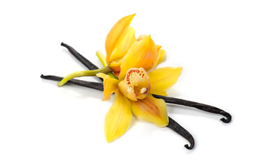 Vanilla flower and pods close up. Vanilla beans isolated on white background, macro shot. Aromatic condiments, closeup