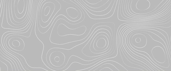 Topographic map lines background. Abstract vector illustration, the stylized height of the topographic contour in lines and contours,  white lines on light blue background. Texture for documents.
