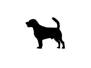 set of dogs silhouettes.Vector silhouette of dog on white background .Vector illustration of dog on a white and black .Ariégeois, Azawakh, Black and white vector., Dot vector icons.