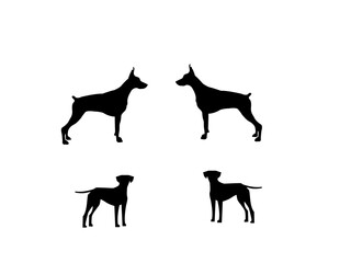 set of dogs silhouettes.Vector silhouette of dog on white background .Vector illustration of dog on a white and black .Ariégeois, Azawakh, Black and white vector., Dot vector icons.