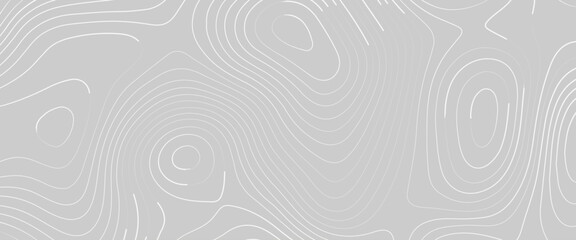 Topographic map lines background. Abstract vector illustration, the stylized height of the topographic contour in lines and contours,  white lines on light blue background. Texture for documents.