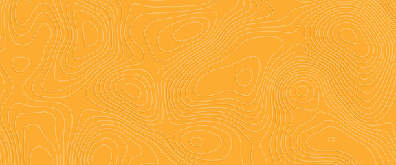 Vector contour topographic map background, White wave paper curved reliefs abstract background, vector illustration of topographic line contour map, gold-white design, Luxury gold abstract line art.