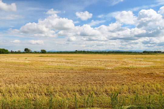 Po Valley landscape field cultivation nature natural agriculture farmhouse tree earth