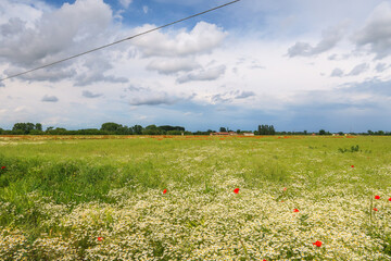 Po Valley landscape field cultivation nature natural agriculture farmhouse tree earth
