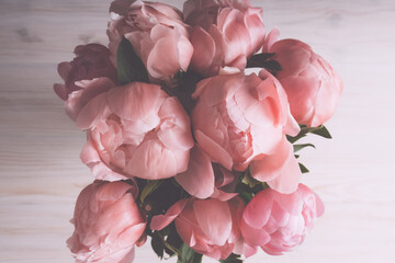 Beautiful bouquet of fresh coral pink peony flowers in full bloom on white wooden background, view from above.