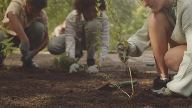 Multiethnic teenage eco activists planting trees in public park together helping environment