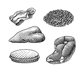 Red meat products. Veal beef, ribs, Bacon, jamon, mortadella, lamb beef Steak, pork sausage, sirloin, brisket Butchery food Hand drawn Vintage sketch. Products for label, restaurant menu