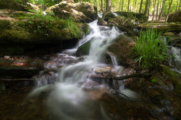 Bachlauf der Stürmke im Sauerland mit Buchenwald und Wasserfall