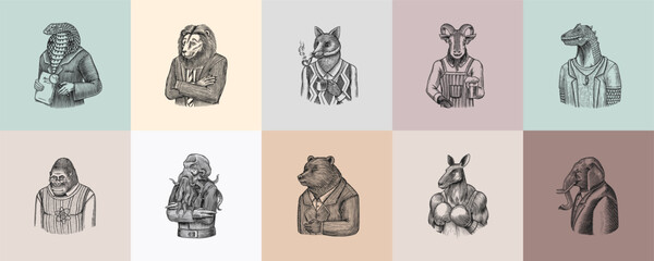 Grizzly Bear, Octopus, t-rex dinosaur, Elephant, Indian cobra snake, Fox with a smoking pipe, lion, Monkey scientist Goat with beer. Gentleman Fashion animal character in a suit. Hand drawn sketch.
