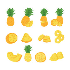 Hand Drawn Pineapple Illustration Isolated On White Background. Fresh Summer Fruit illustration.