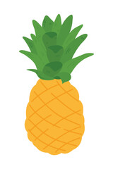 Hand Drawn Pineapple Illustration Isolated On White Background. Fresh Summer Fruit illustration.